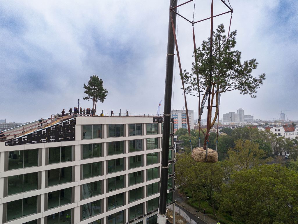 Ein Baum wird zur Pflanzung mit einem Kran auf das Dach eines Gebäudes gehoben