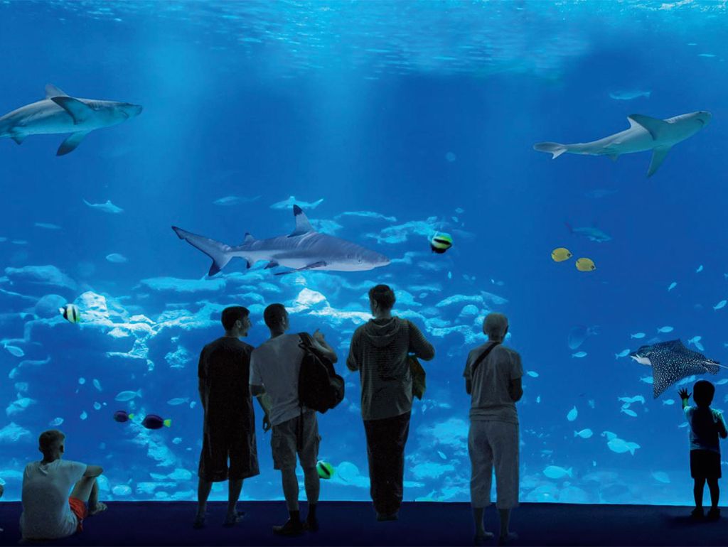 Menschen stehen vor einem Unterwasser-Observatorium in Eilat, Israel und schauen sich eine Vielzahl von Fischen an