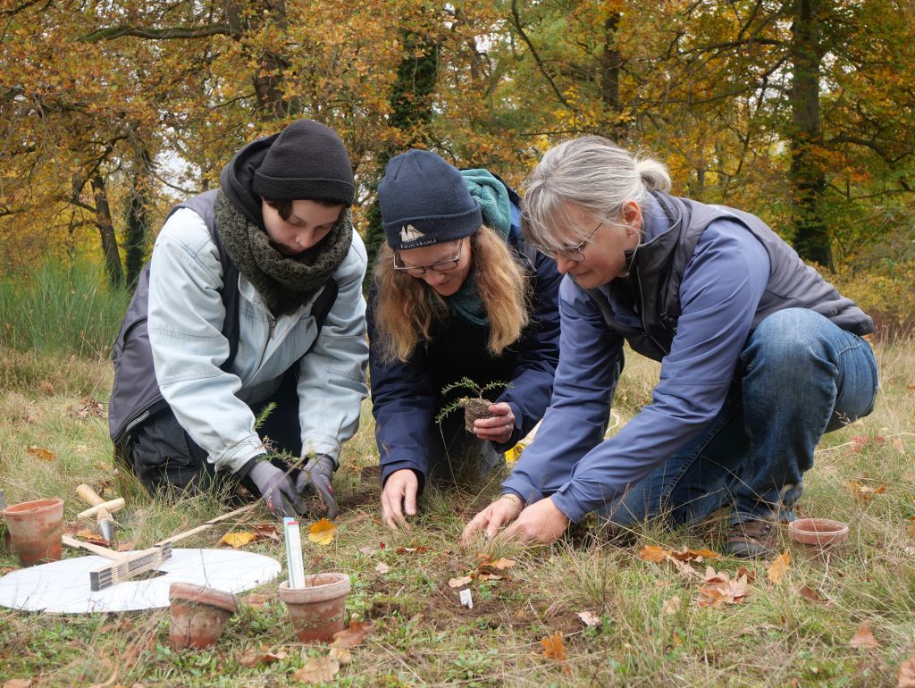 Drei Frauen aus dem Team des Botanischen Gartens bringen Setzlinge in die Erde