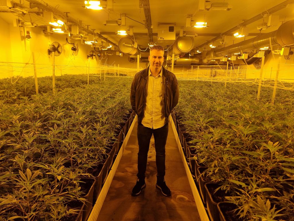 Ein Mann in einer Halle mit Cannabispflanzen