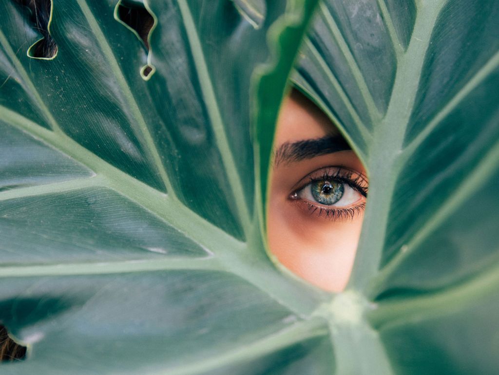 ein blaues Auge schaut durch die Fenster einer Monstera pflanze